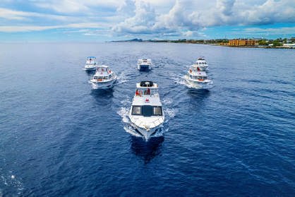 /ocean-encounters-01.jpg